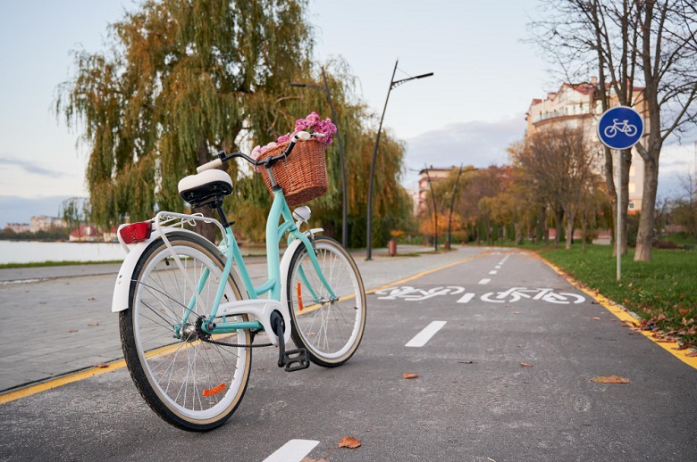 Bicicleta parada em ciclovia e ciclofaixa cercada por árvores e sinalização urbana.