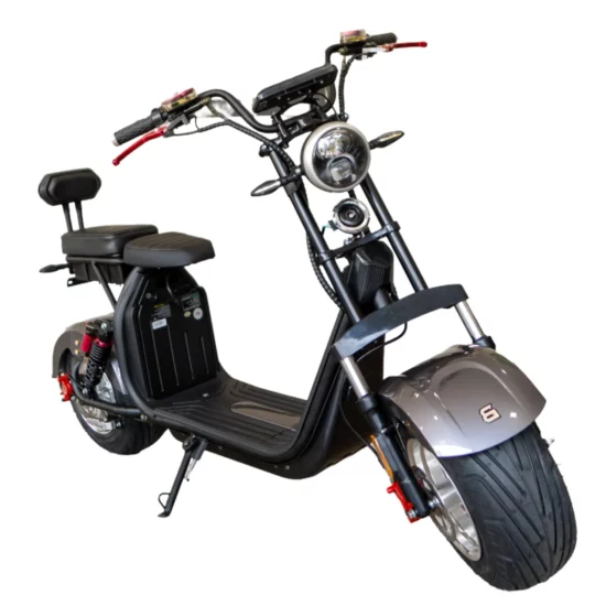 16245_moto-scooter-sc-20-2000w-67v-cinza-boram_z2_638556016916837290